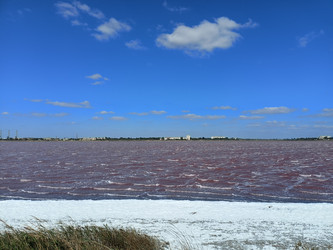 Similar image 22335210