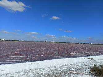 Similar image 22335211