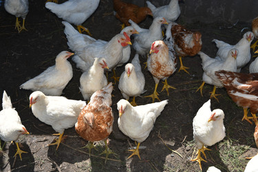 Similar image 22334927