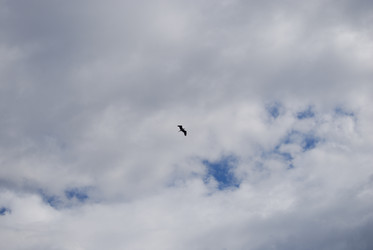 Similar image 22334960