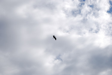 Similar image 22334961