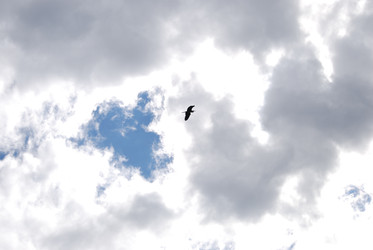 Similar image 22334963