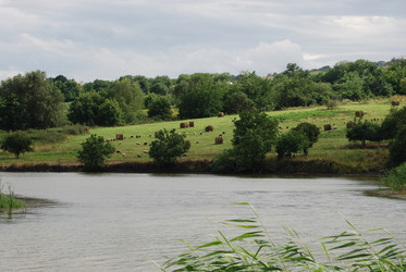 Similar image 22334964