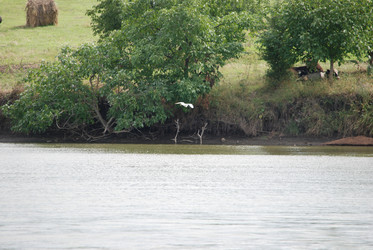 Similar image 22334965