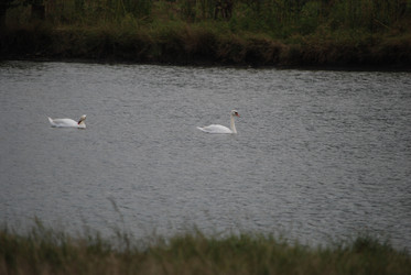 Similar image 22334966