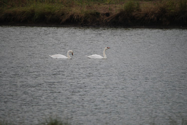 Similar image 22334967