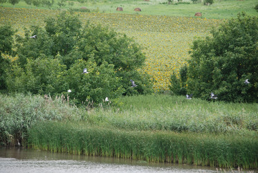 Similar image 22334968