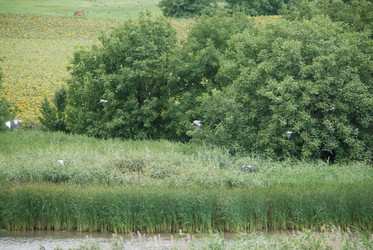 Similar image 22334969