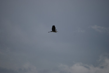 Similar image 22334970