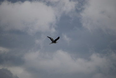 Similar image 22334971