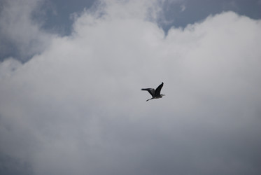 Similar image 22334999