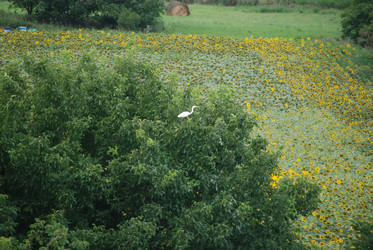 Similar image 22335000