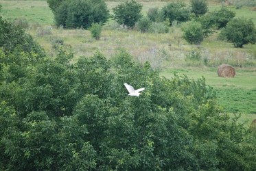 Similar image 22335001