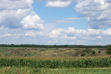 Similar image 22335005