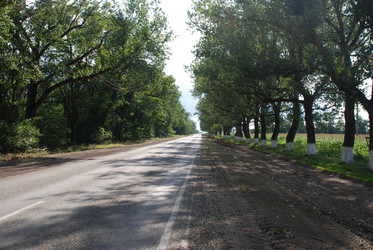 Similar image 22335007