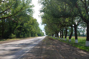 Similar image 22335008