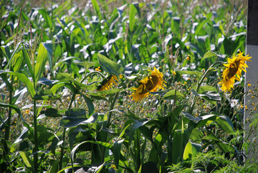 Similar image 22335010