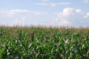 Similar image 22335012