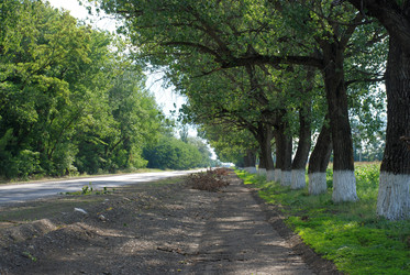 Similar image 22335013