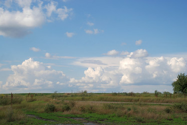 Similar image 22335020