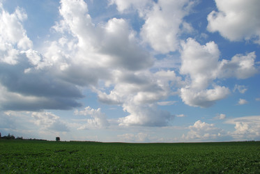 Similar image 22335022