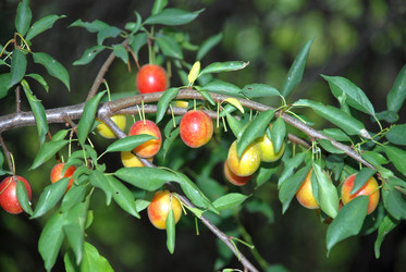 Similar image 22335024