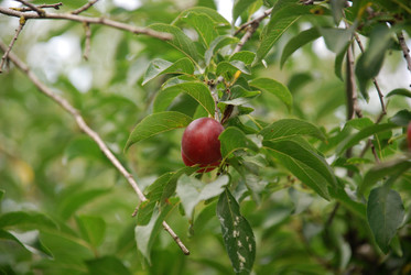 Similar image 22335026