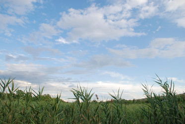 Similar image 22335027