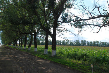 Similar image 22335030