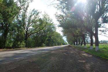 Similar image 22335032