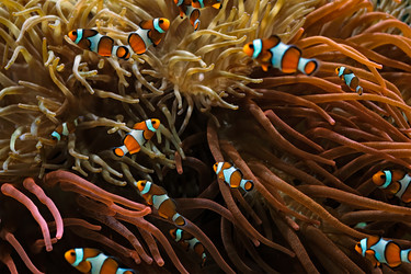 Similar image 22337913