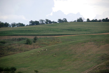 Similar image 22335035