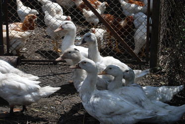 Similar image 22335038