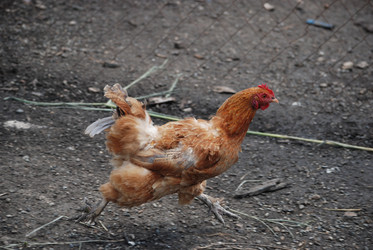 Similar image 22335046