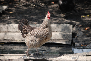 Similar image 22335047