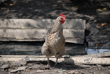 Similar image 22335048