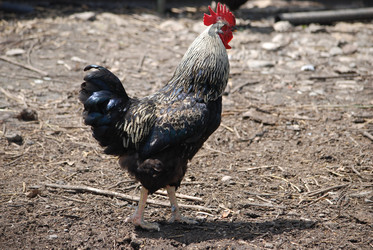 Similar image 22335050