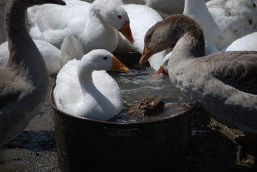 Similar image 22335075