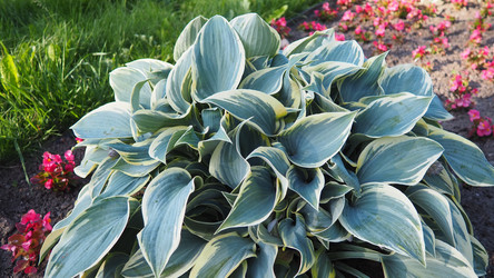 Similar image 22336065