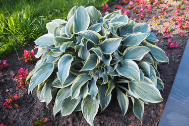 Similar image 22336066