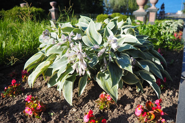 Similar image 22336067