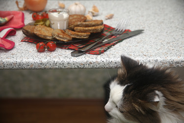 Similar image 22338259