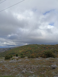 Similar image 22335230