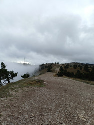 Similar image 22335238