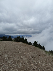 Similar image 22335239