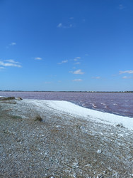 Similar image 22335244