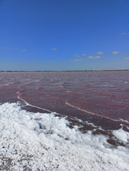 Similar image 22335245