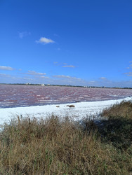 Similar image 22335246