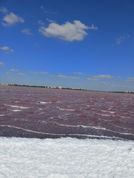 Similar image 22335248