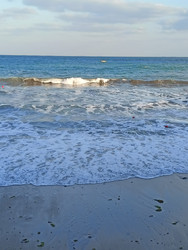 Similar image 22335249